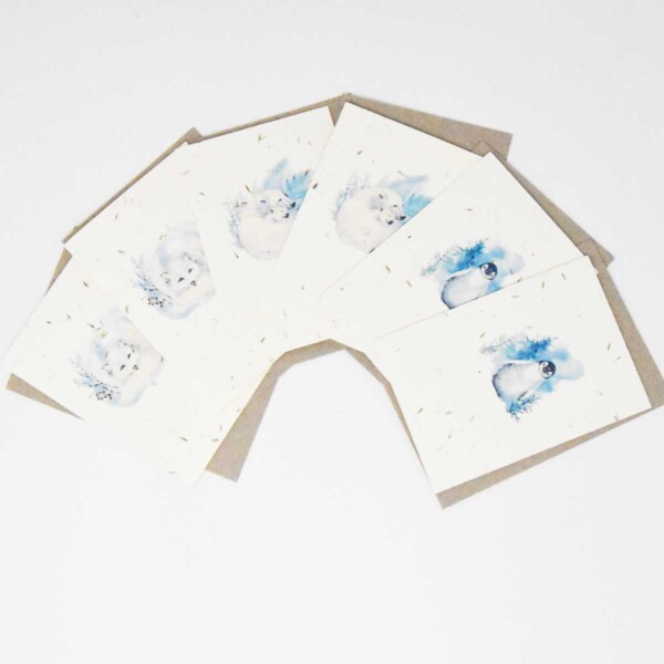 Seed Paper Christmas Card ‘Arctic Animals ’ – 6 Pack