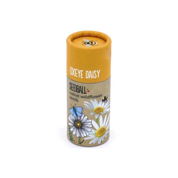 Oxeye Daisy Seedball Tube