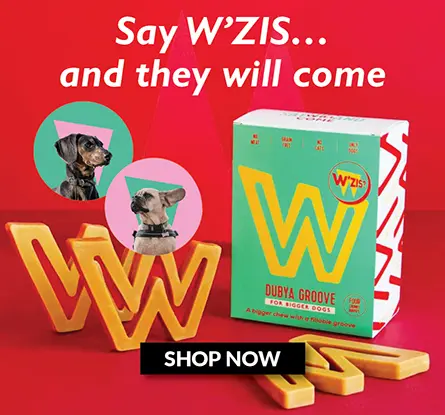 WZIS Category Banner