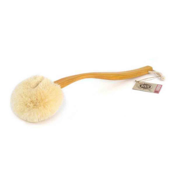 Wet or Dry Back Brush with Long Handle