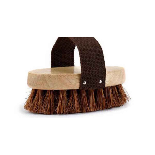 Eco Max Dog Grooming Brush