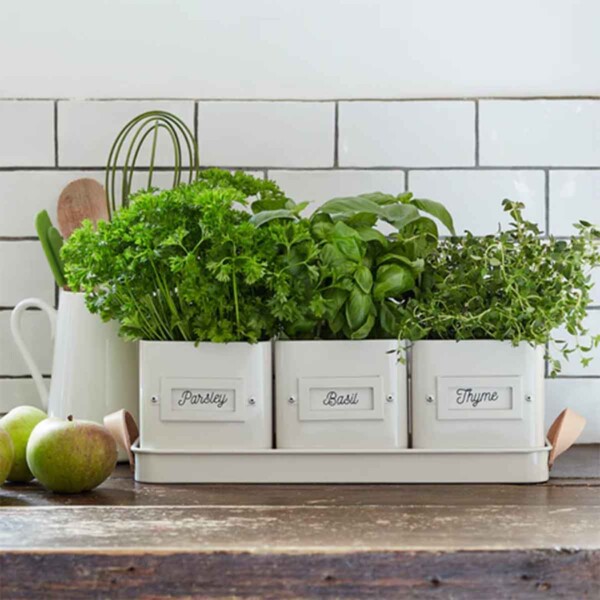 3 Herb Pots With Leather Handled Tray - Stone - Image 3