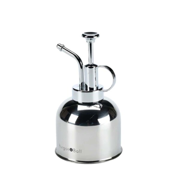 Indoor Plant Mister - Stainless Steel