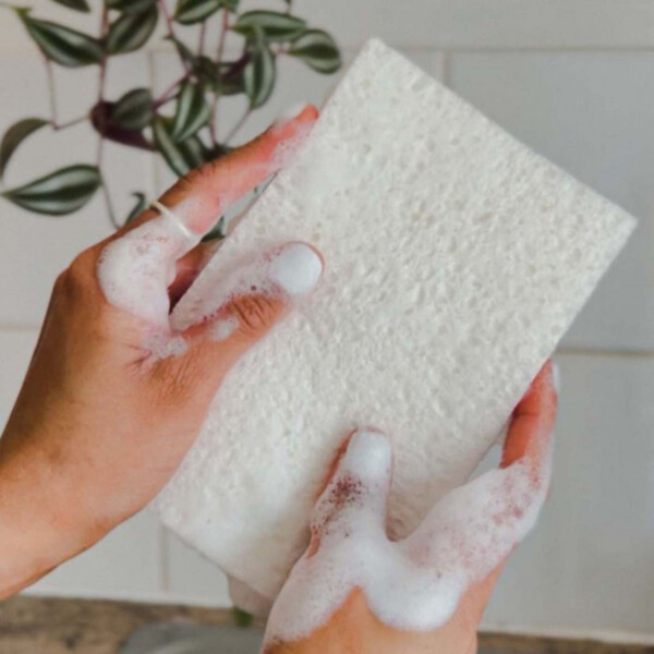 Eco Pop-Up Sponges - Pack of 2 - Image 2