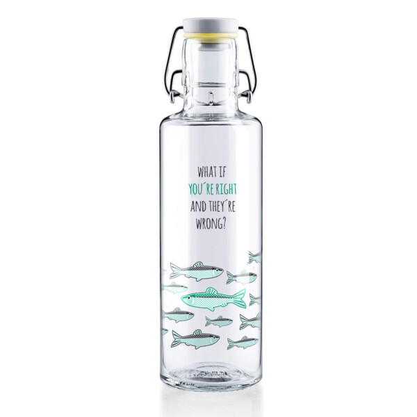 You're Right Glass Water Bottle – 600ml