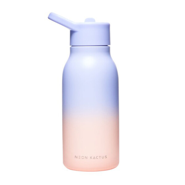 Stainless Steel Water Bottle - Live Forever 340ml