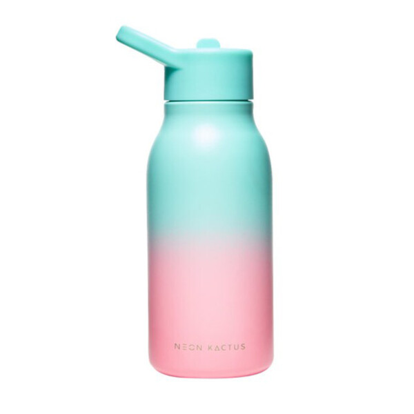 Stainless Steel Water Bottle - Twist & Shout 340ml