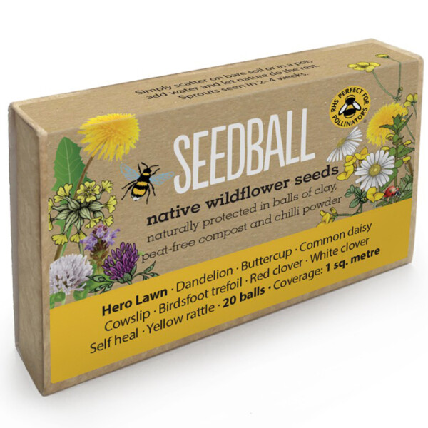 Hero Lawn Seedball Box