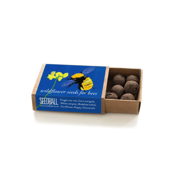 Bumblebee Seedball Box - Image 4