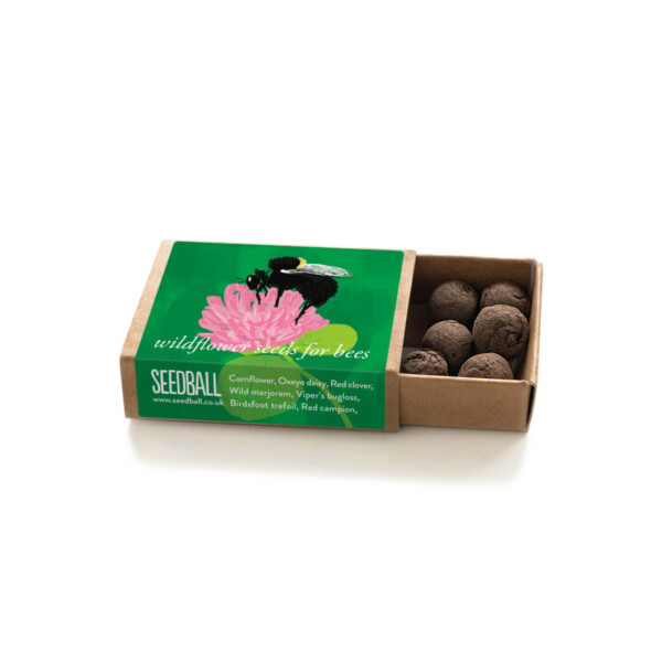 Bumblebee Seedball Box - Image 2
