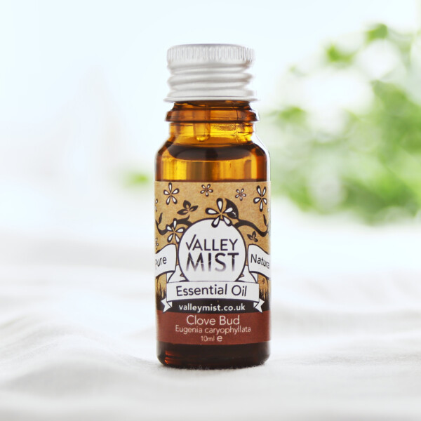 Clove Bud Pure Essential Oil - 10ml