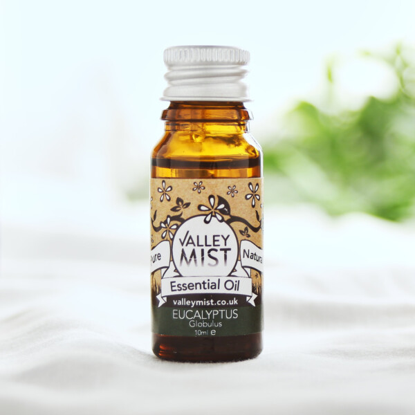 Eucalyptus Pure Essential Oil - 10ml