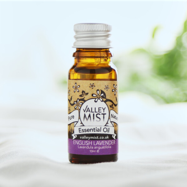 English Lavender Pure Essential Oil - 10ml
