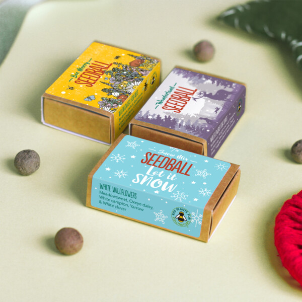 Christmas Wildflowers Seedball Box - Image 2