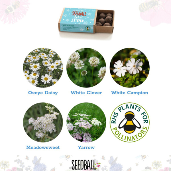 Christmas Wildflowers Seedball Box - Image 4