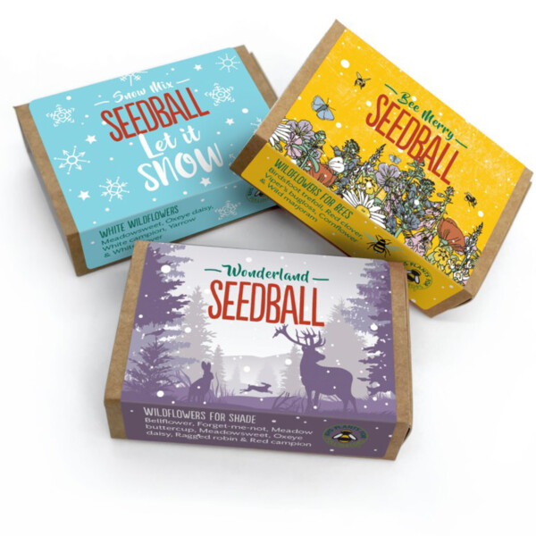 Christmas Wildflowers Seedball Box
