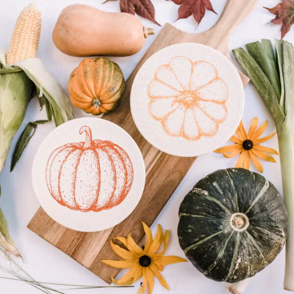 Set of 2 Pumpkin Bowl Covers - Small