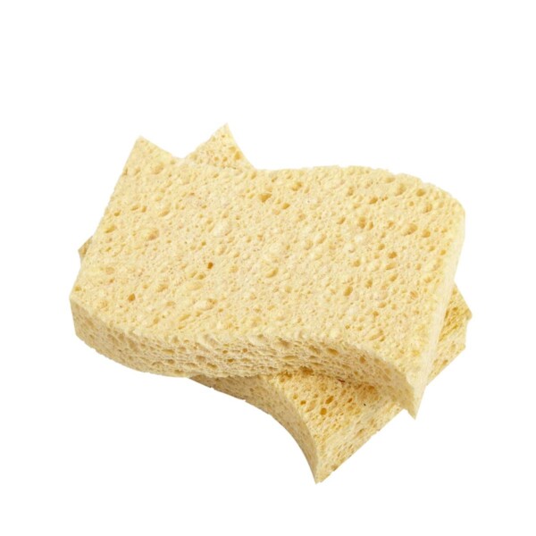 Re:gn Biodegradable Kitchen Sponges - Pack Of 2
