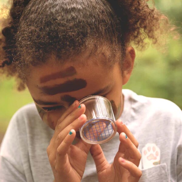 The Entomology Kit - Image 3