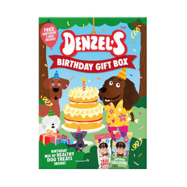 Denzel's Dog Treat Birthday Gift Box
