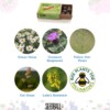 Royal Entomological Society Seedball Box - Image 3
