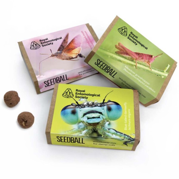 Royal Entomological Society Seedball Box