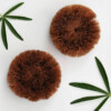 Round Coconut Scourer Brush – 2 Pack - Image 2