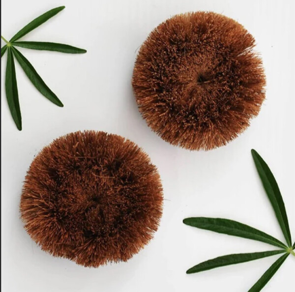 Round Coconut Scourer Brush – 2 Pack - Image 2