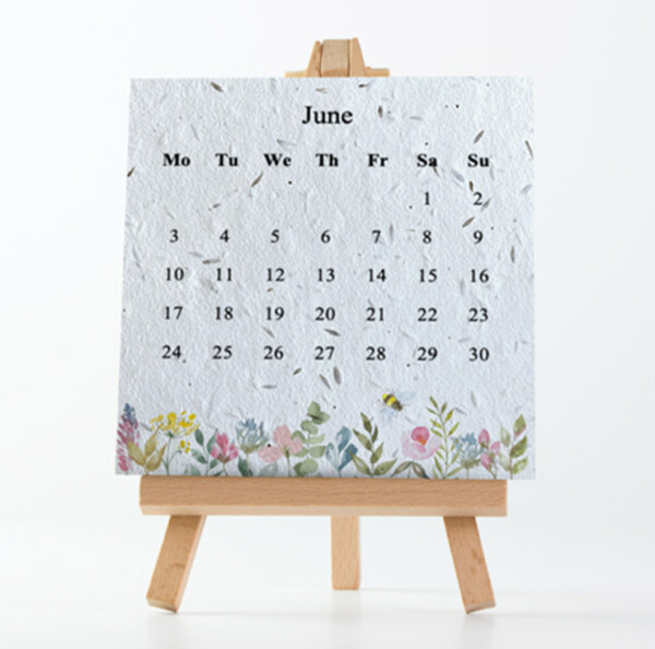 Plantable Desk Calendar 2025