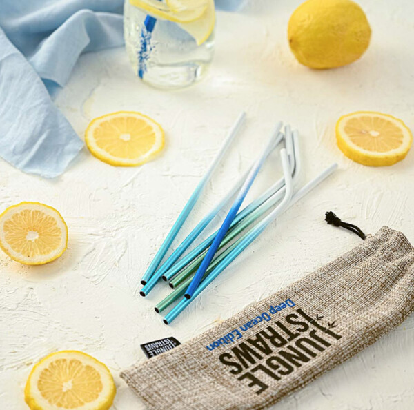 Stainless Steel Reusable Straw Set - Deep Ocean Edition - 8 Pack