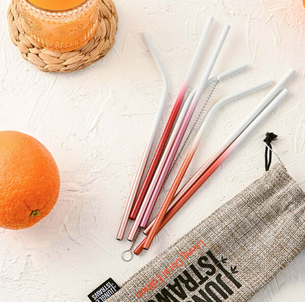 Stainless Steel Reusable Straw Set - Living Coral Edition - 8 Pack