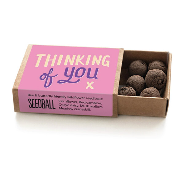'Thinking of You' Seedball Box