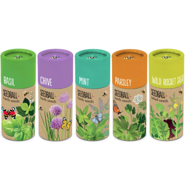Wild Rocket Salad Seedball Tube - Image 2