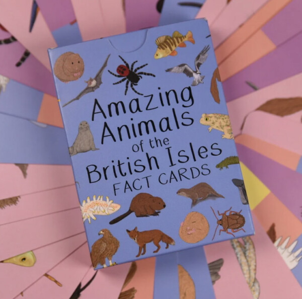 Amazing Animals of The British Isles Fact Cards