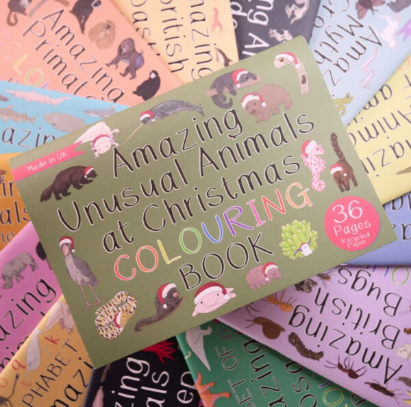 Amazing Unusual Animals at Christmas Colouring Book