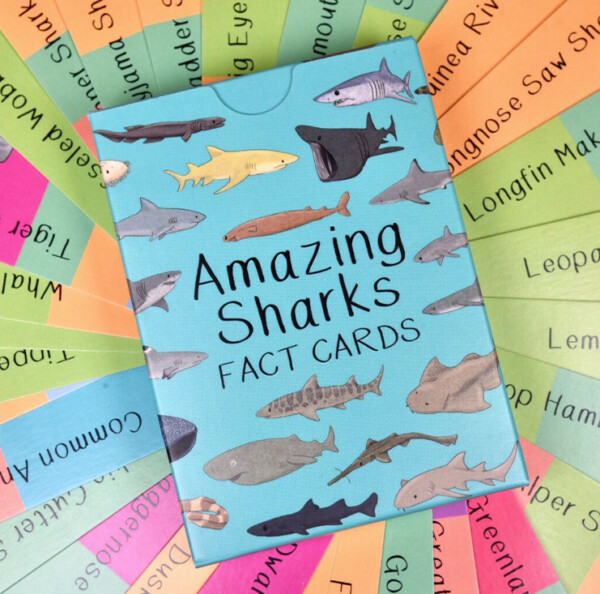 Amazing Sharks Fact Cards