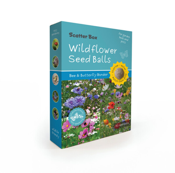 Wild Flower Seed balls - Bee & Butterfly Border Scatter Box