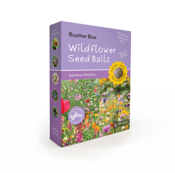 Wild Flower Seed balls - Rainbow Meadow Scatter Box