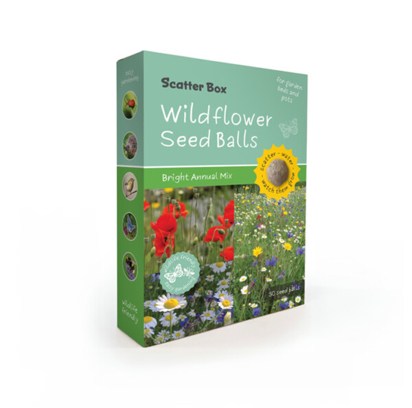 Wild Flower Seed balls - Bright Annual Mix Scatter Box