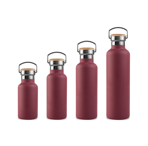 Stainless Steel Insulated Bottle 350ml - 1000ml - Red Berry