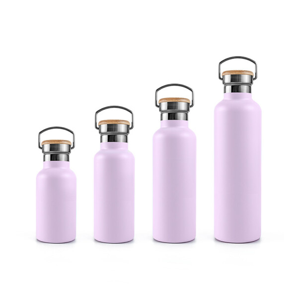 Stainless Steel Insulated Bottle 350ml - 1000ml - Lavender Haze