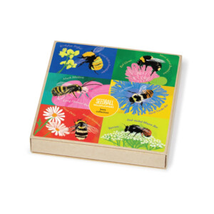 Bees Collection - Set of 6