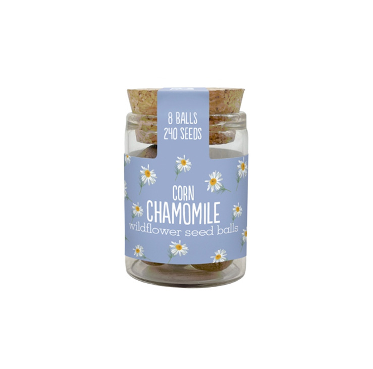 Mini Wildflower Jar - Corn Chamomile