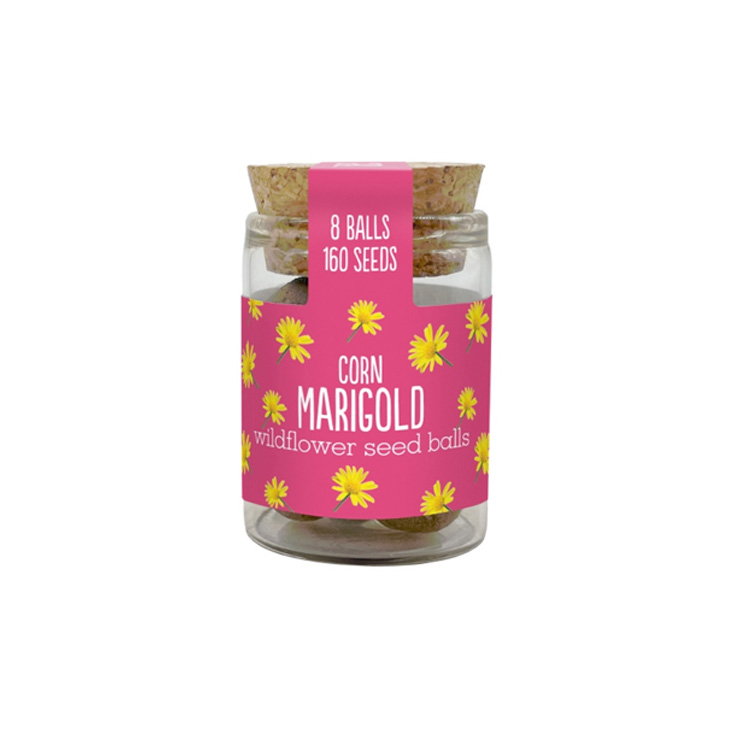 Mini Wildflower Jar - Corn Marigold