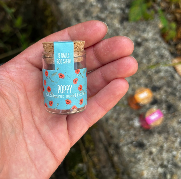 Mini Wildflower Jar - Poppy - Image 2