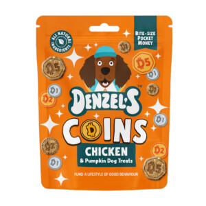 Coins - Chicken & Pumpkin Treats 90g