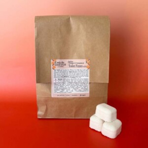 Festive Toilet Fizzes- Orange & Cinnamon - Pack of 50