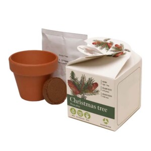 Mini Christmas Tree Seed Box Kit