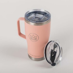 20oz Stainless Steel Tumbler with Handle - Pink Flamingo