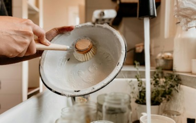 Eco Cleaning Brushes for Every Home